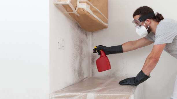 Professional Mold Cleanup technician working in Margarettsville, NC