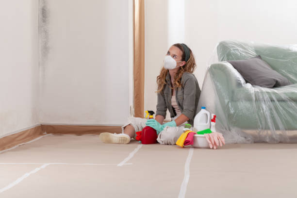 Reliable Mold Cleanup contractor in Margarettsville, NC by WQB Mold Removal
